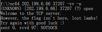 image-20241021184853018